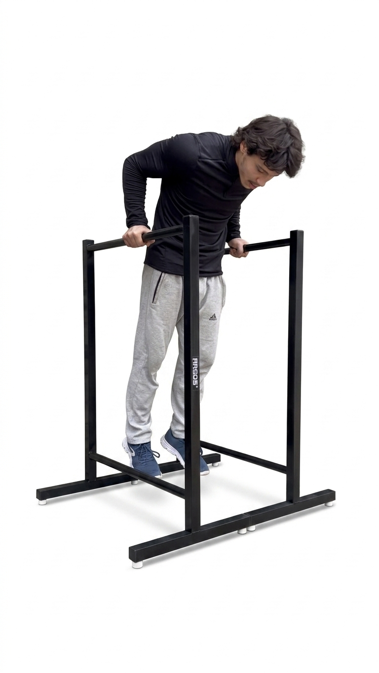 Dips Bar XL ( 2 in 1 )