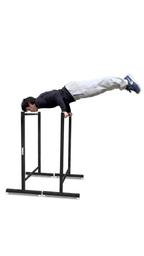 Dips Bar XL ( 2 in 1 )