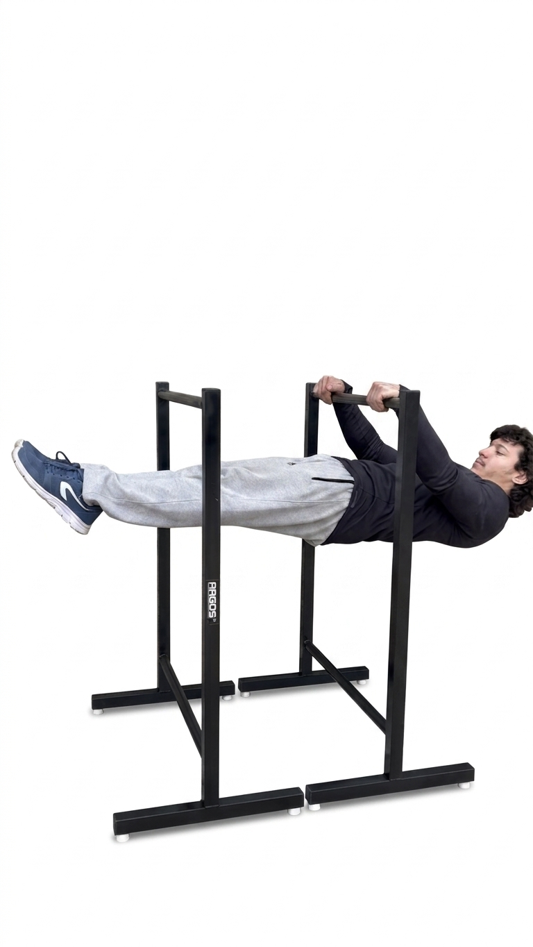 Dips Bar XL ( 2 in 1 )